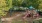 a playground with trees and a slide