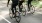 a group of people riding bikes